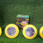 4 Pack Solar Ground Lights