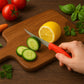 Knife for Kitchen