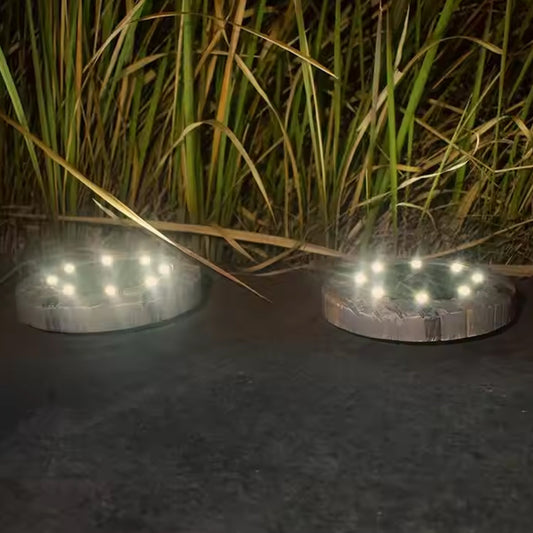 Disk Lights Slate  Heavy Duty Outdoor Solar Pathway Lights  4 Led (2 Pc) Wukusy