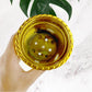 Plastic Flower Valencia (Pot) Home and Outdoor (1 Pc)