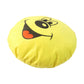 Plush Cushion